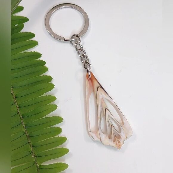Seashell Keyring Slice Conch Seashell Clearwater Beach, Florida - Picture 6 of 11
